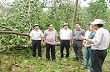 Công ty TNHH MTV Cao su Quảng Trị: Đại hội công nhân viên chức năm 2013 